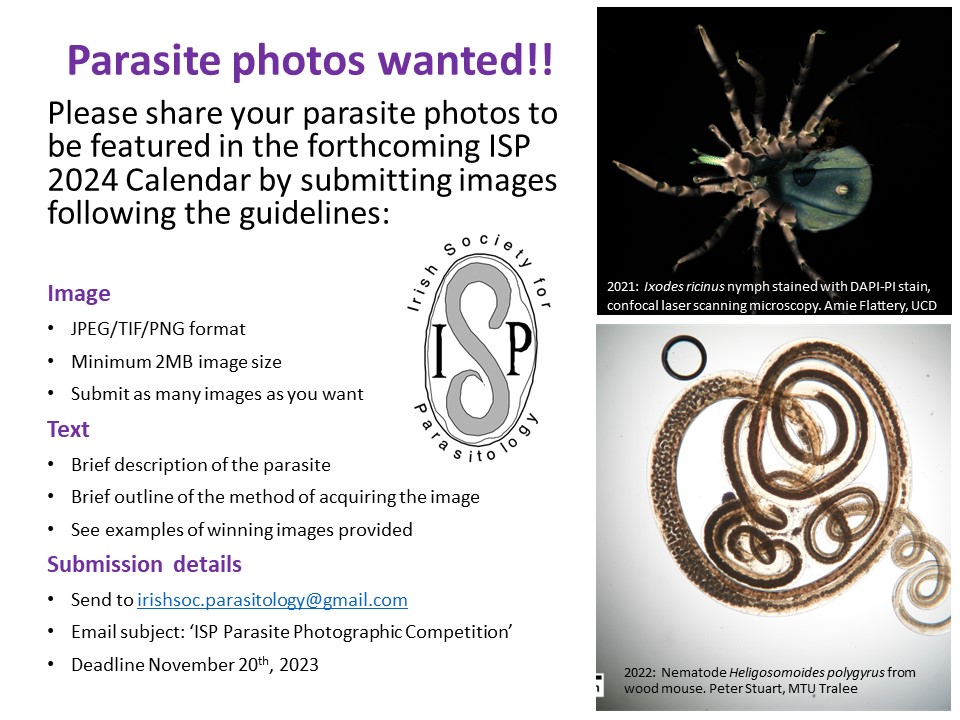 ISP members have your favourite parasite featured in the ISP 2024 calendar!