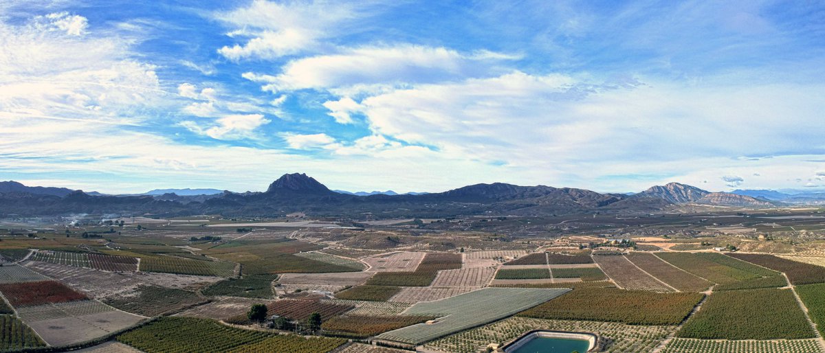 miglucas305's tweet photo. Desde #cieza de la #RegiondeMurcia con esos #coloresdelotoño de #panoramicas de particular belleza entre #nubes y agradable #temperatura #FelizViernes @la7tele @ElTiempo_tve @tiempobrasero @ElTiempoA3 @jacobpetrus_tve @SomosMeteo @MeteOrihuela @MeteoChatSE #VEGALTA @bbcweather https://t.co/yPY1XYRSW5