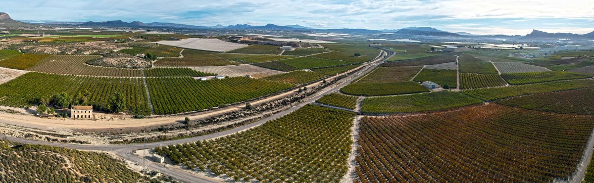 miglucas305's tweet photo. Desde #cieza de la #RegiondeMurcia con esos #coloresdelotoño de #panoramicas de particular belleza entre #nubes y agradable #temperatura #FelizViernes @la7tele @ElTiempo_tve @tiempobrasero @ElTiempoA3 @jacobpetrus_tve @SomosMeteo @MeteOrihuela @MeteoChatSE #VEGALTA @bbcweather https://t.co/yPY1XYRSW5