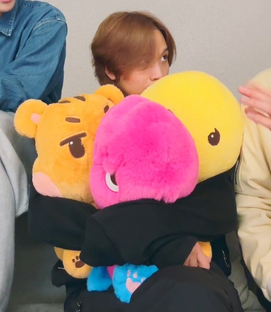 보들보들 인형