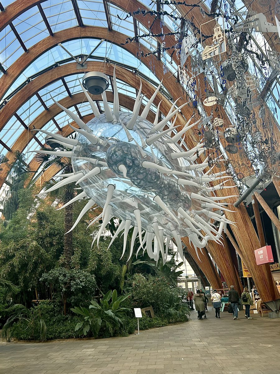 A 90ft long E.Coli has been suspended from the ceiling of #Sheffield Winter Garden (once again)! 5 million times larger than the actual bacteria, the inflatable sculpture by artist @lukejerram, has been installed for @sheffielduni’s BioFest. 🦠🎨 sheffield.ac.uk/news/discover-…