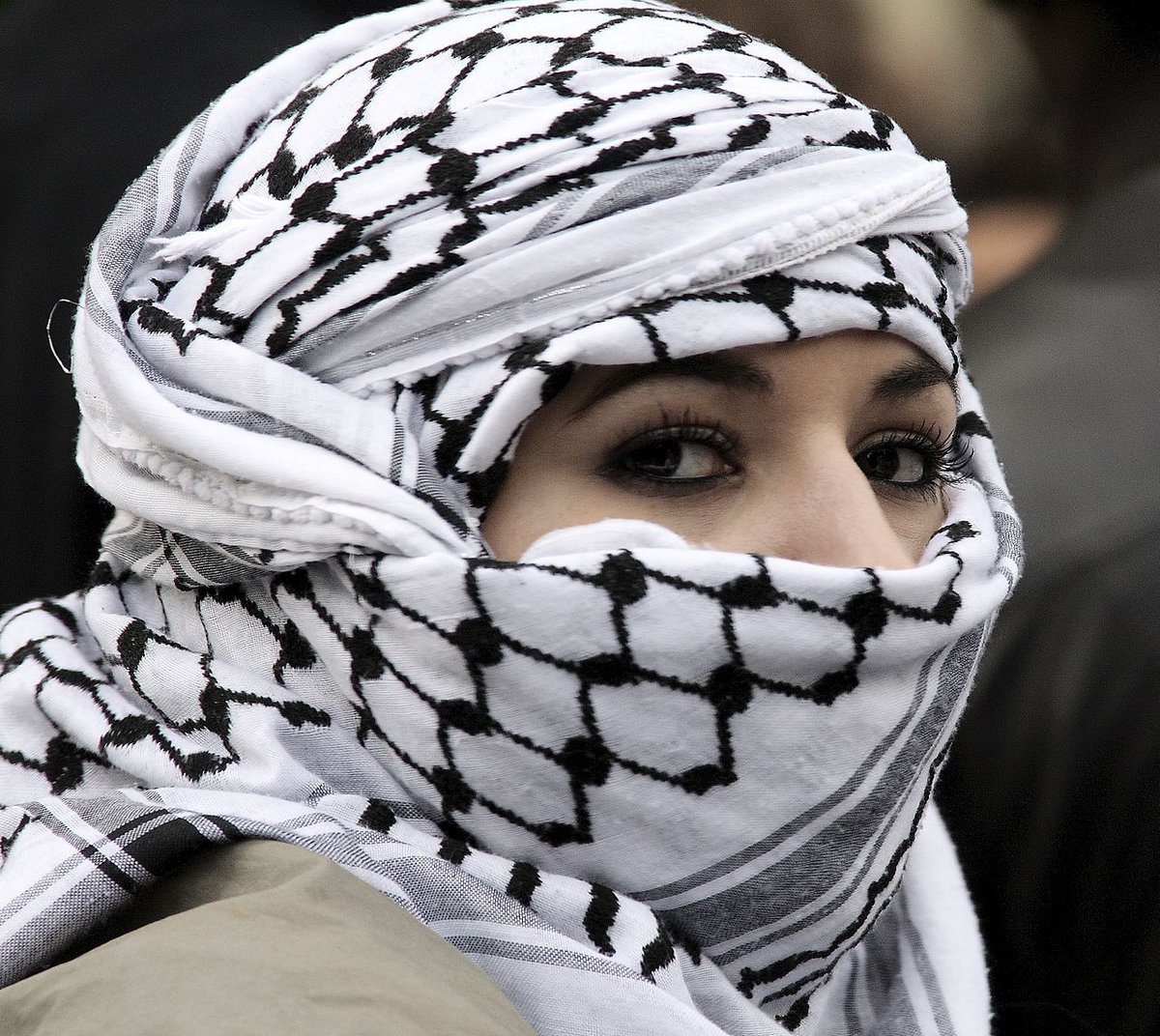 NaeemMirzaAF's tweet photo. Resistance to occupation is legal under international law https://t.co/2hHm7uLX0d