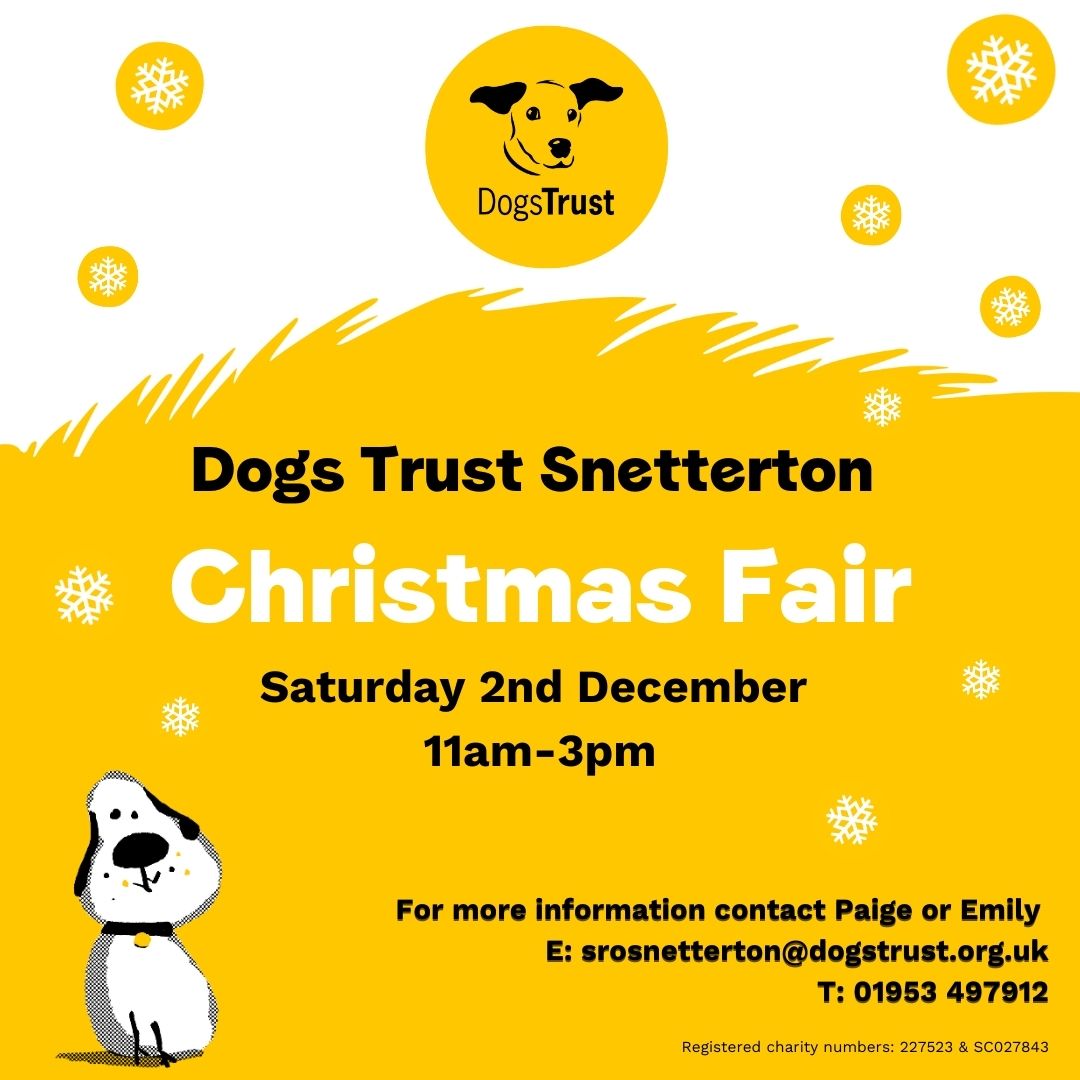 2023 sees the return of our much loved and anticipated Christmas Fair here at the Dogs Trust Snetterton Rehoming Centre 🐶 Come and join us on Saturday 2nd December, from 11am-3pm, to take part in all the festive fun! Find out more here ➡️ bit.ly/49cqHJK
