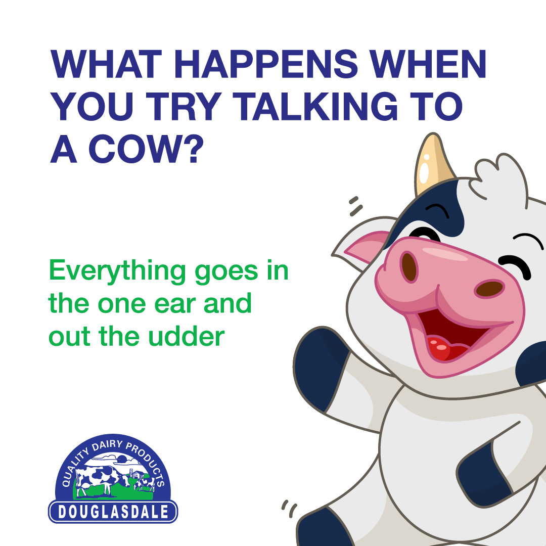 Have You tried Talking to a Cow? 

Happy Friday! 

#DefinitelyTheBestQualityAvailable #Douglasdale #Dairy #Milk #Amasi #Cream #FreshProducts #Joke #Udder #Funny #Laugh #Giggle