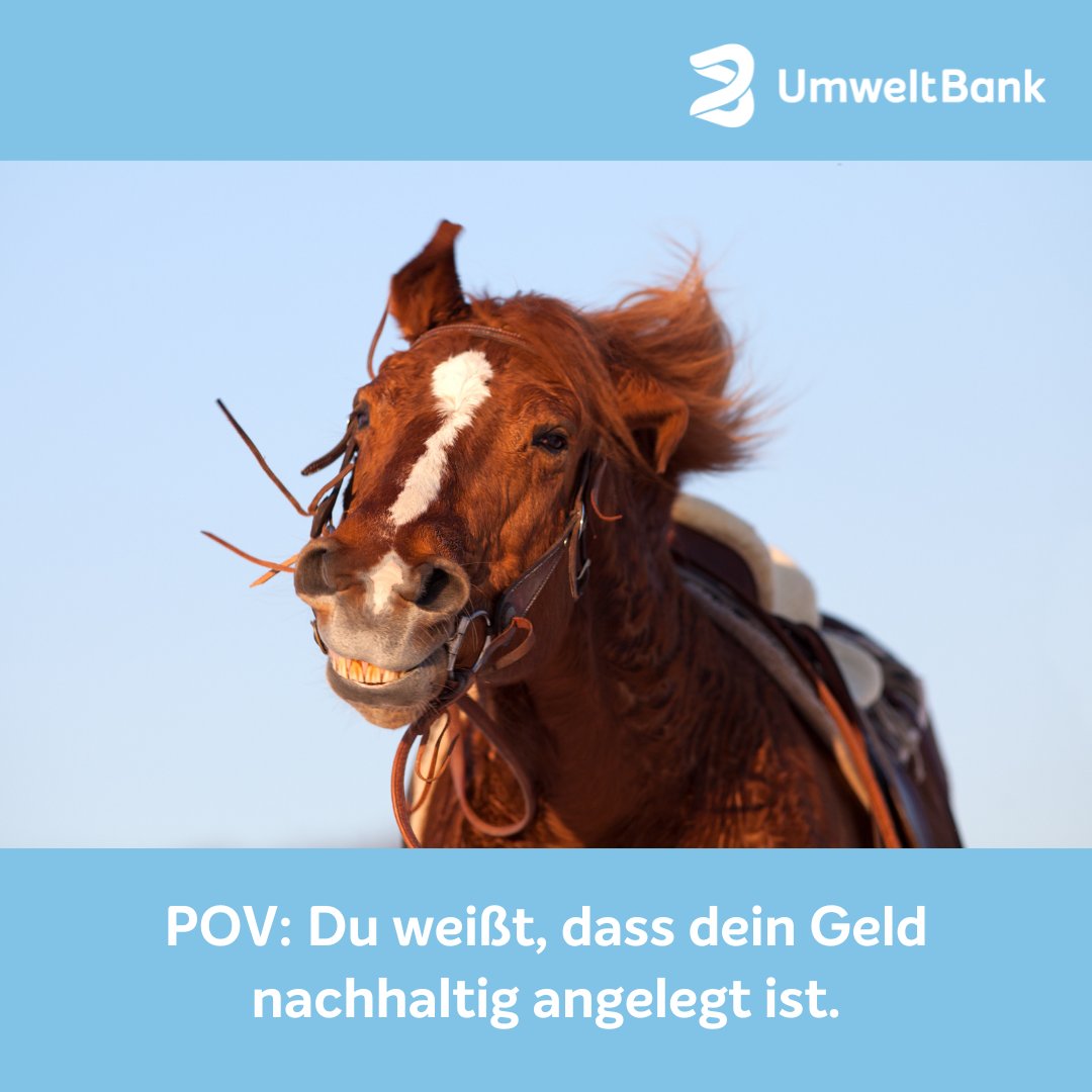 Wenn auch du dein Geld nicht nur irgendwo anlegen, sondern wirklich nachhaltig investieren willst, dann bring es zur UmweltBank.

➡️ umweltbank.de/wandel

#UmweltBank #MeinGeldMachtGrün #SustainableFinance