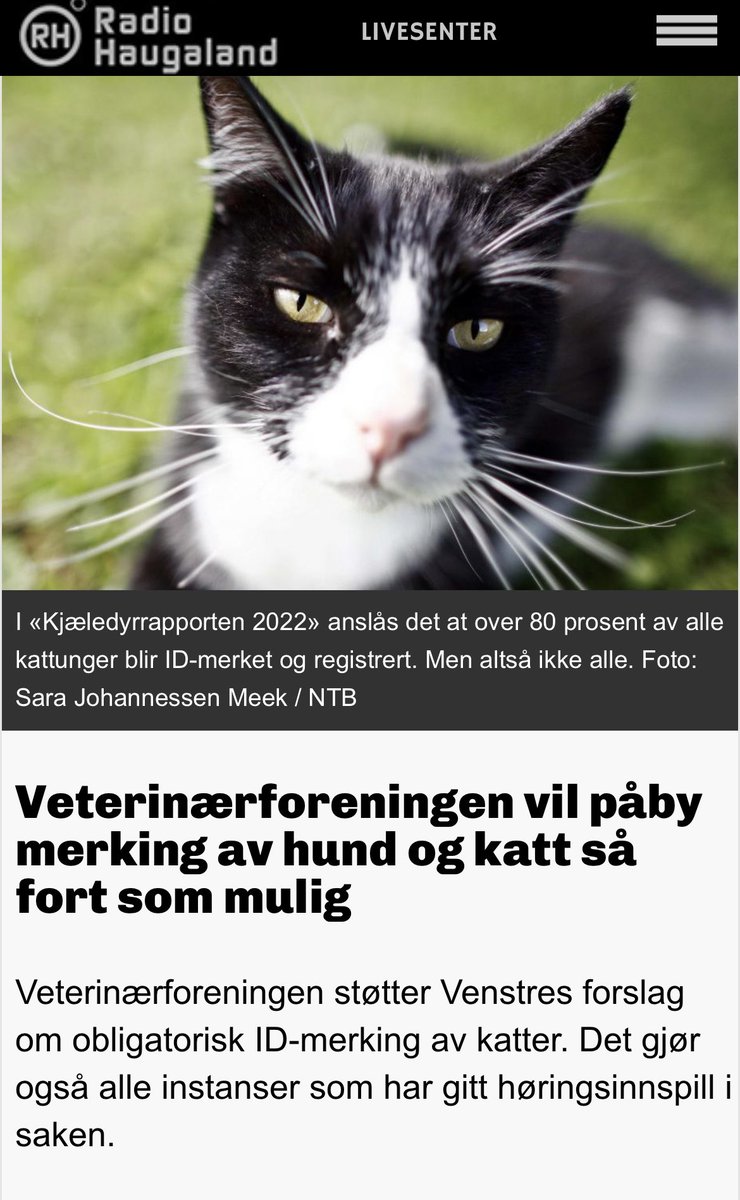 dyrebeskyttelse's tweet photo. Selvfølgelig må hunder og katter ID-merkes! Hurra for @veterinærforeningen som tar et tydelig standpunkt!  Nå håper vi @Arbeiderpartiet   @Hoyre @frp_no @KrFNorge  @Raudt @sosialist @TrondheimSV @fpunorge @AUFiOslo @ungehoyre kommer etter🐕🐈💕   https://t.co/TR0S5jL2k7 https://t.co/kimWlVEQCh