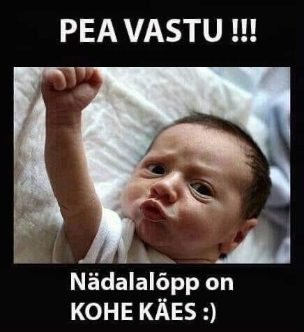 (─‿‿─)♡ (@suurunimyts) on Twitter photo 