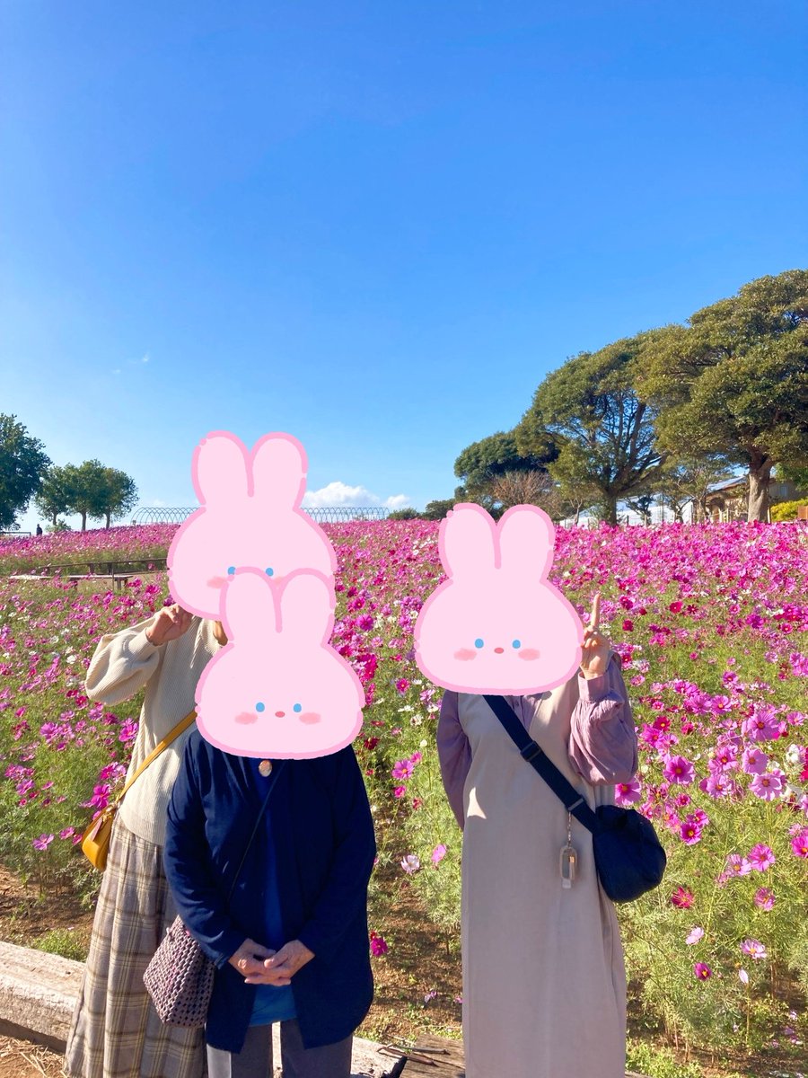 TimelyBase's tweet photo. 嫁三世代　#コスモス　#あぐりの丘 https://t.co/t3hFh74O4O