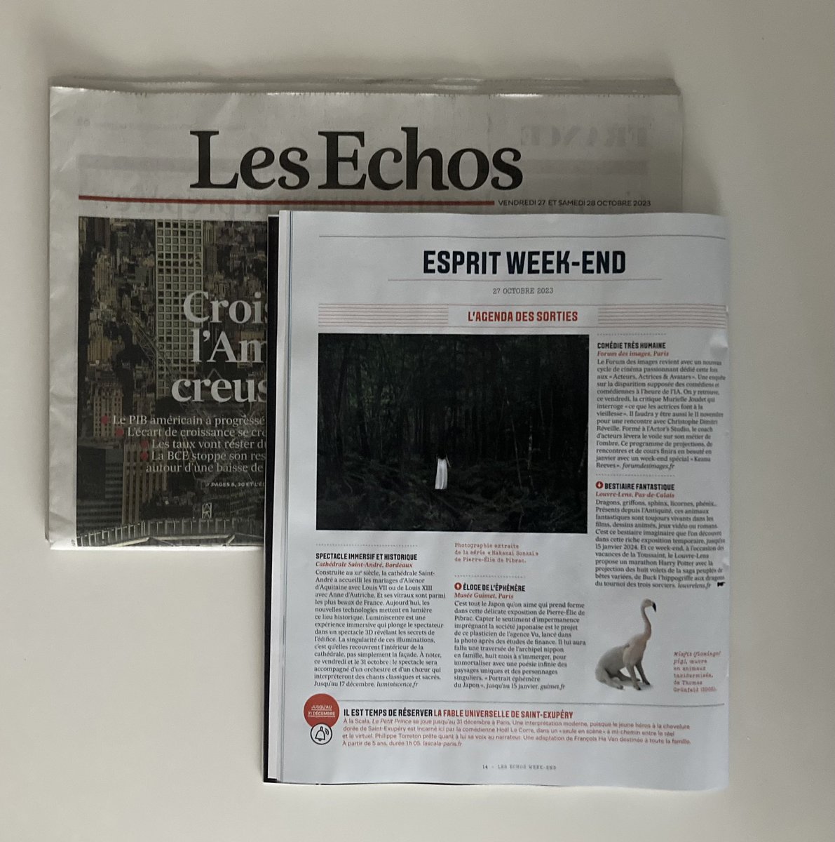PEdePibrac's tweet photo. Merci @LesEchosWeekEnd pour ce superbe article très élogieux sur mon exposition Portrait éphémère du Japon au @MuseeGuimet 🙏🇯🇵🤩 https://t.co/dDAqy2KN3U