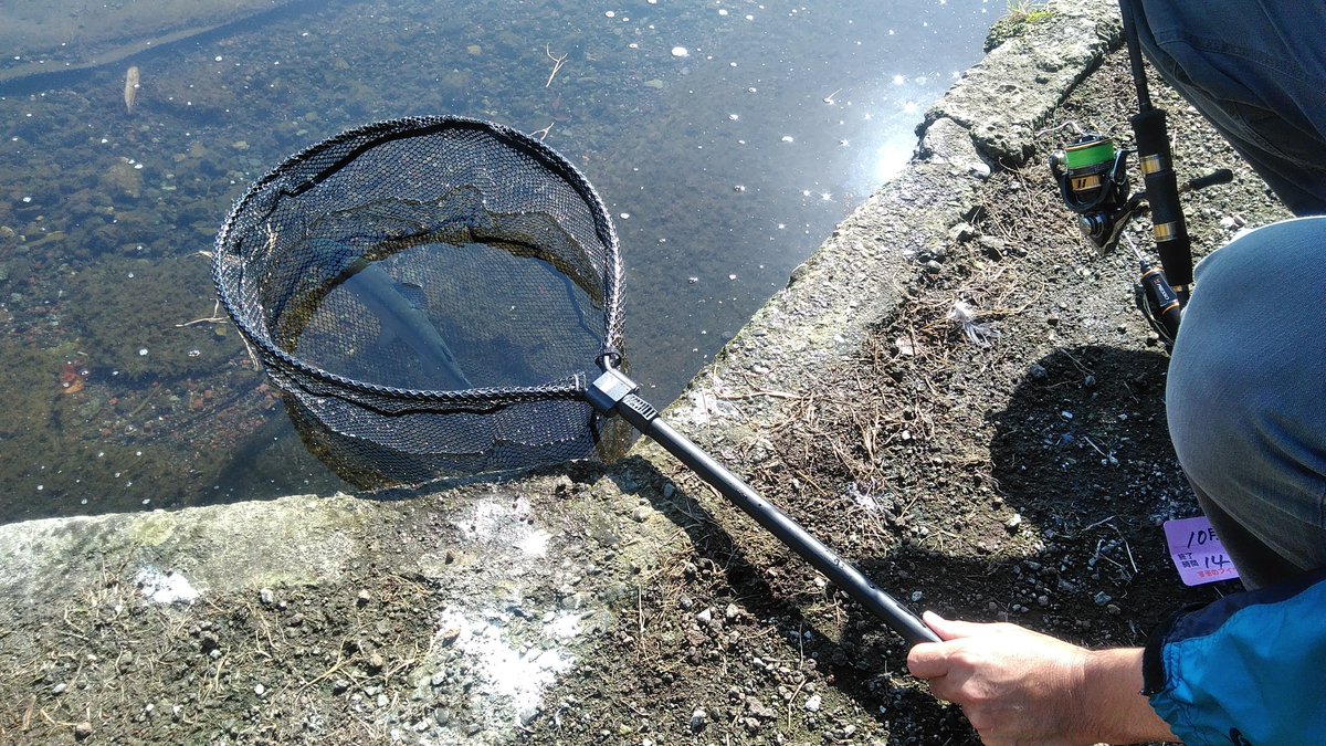 noburons's tweet photo. 昔の海釣り仲間と急遽ここへ🎣😄　「釣って下さい！　釣れて下さい！」🙇
自分　何も教えてあげられません。😌🎣
きっと魚が何かを教えてくれます。🐟💨😍　
人が釣れてる姿　楽しい！💃🎉#すそパ　#エリアトラウト https://t.co/6x2Qu0ojL2