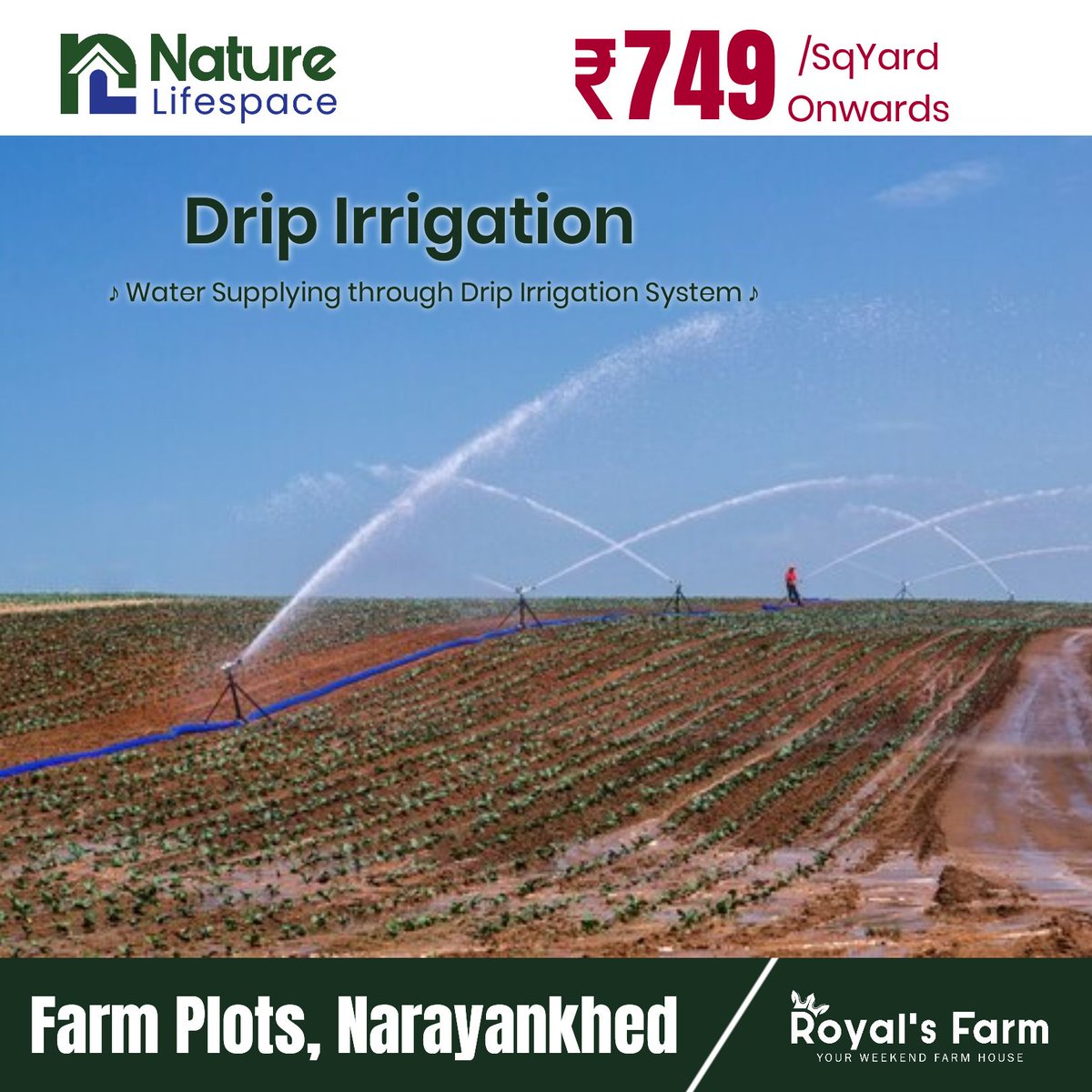 NatureLifespace's tweet image. Sandalwoood Farm plots at Narayankhed

#naturelifespace #hmdaplots #Narayankhedplots #PlotsInHyderabad #Hyderabad #sandalwoodfarmlandinhyderabad #sandalwoodfarmplots #sandalwoodfarmland #sandalwoodfarmhouse #sandalwoodfarmlands #sandalwoodfarms #sandalwoodfarm #farmplotshyderabad