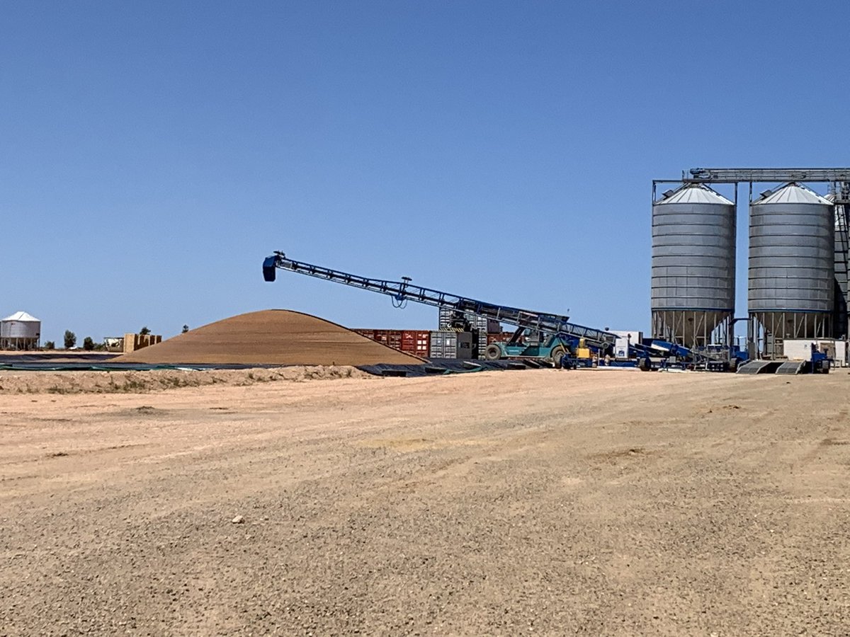 age_dublin's tweet photo. All systems go at AGE Dublin for 23/24 harvest. A reminder to please use both sides of the Autoprobe. Late today we opened up multiple tipping points for Nipper type lentils to keep these flowing through as best we can #harvest23 https://t.co/rx9wCHhnFx