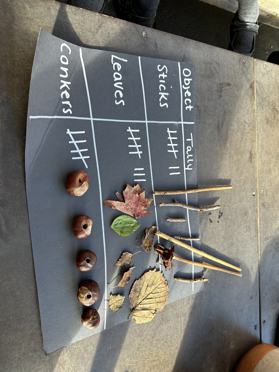 MissThomas24's tweet image. Creating Tally charts outdoors using autumn objects🍂🍁 #Outdoorlearning #Autumn #MathNumeracy #Earlyyears