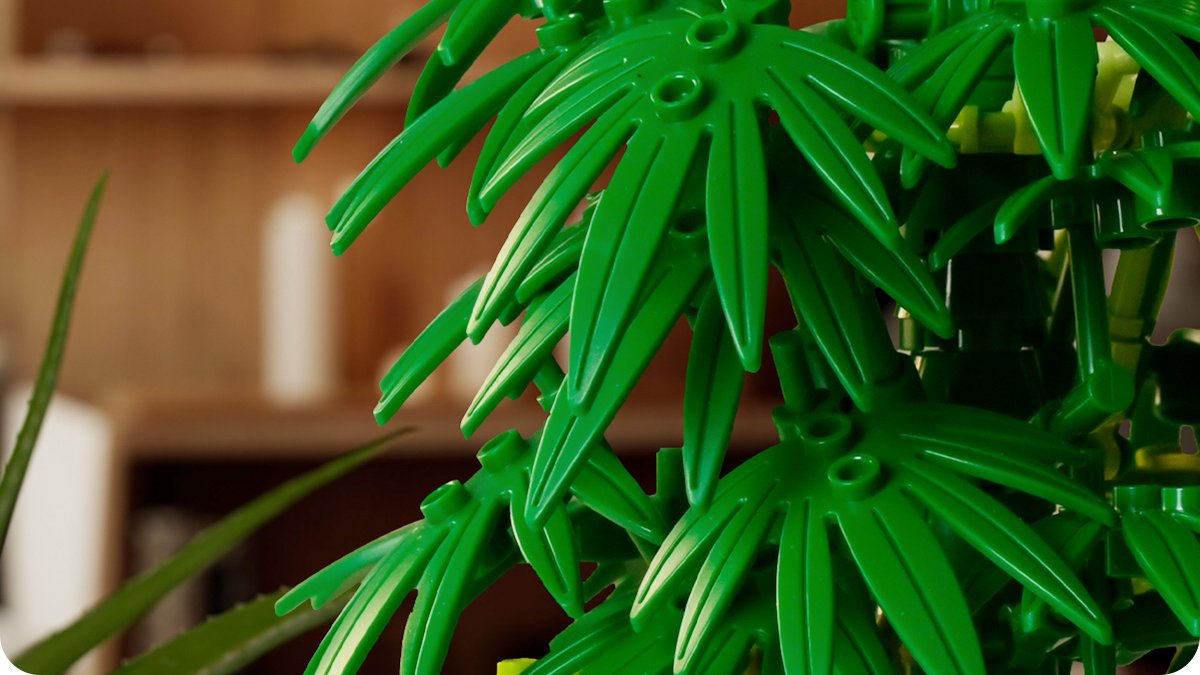 NifelizSet's tweet photo. 🏜️The real-life appearance of this potted bamboo model toy is simply breathtaking...
🥰What do you think?
Link👇
https://t.co/Zy1AdLFTNf
#homedecor #nifeliz #nifelizsets #legoflower #display #model #buildingtoy #legobricks #toys #gift #Legoflowers #LEGO #plantlover #Plant https://t.co/5hIDXDN3t2