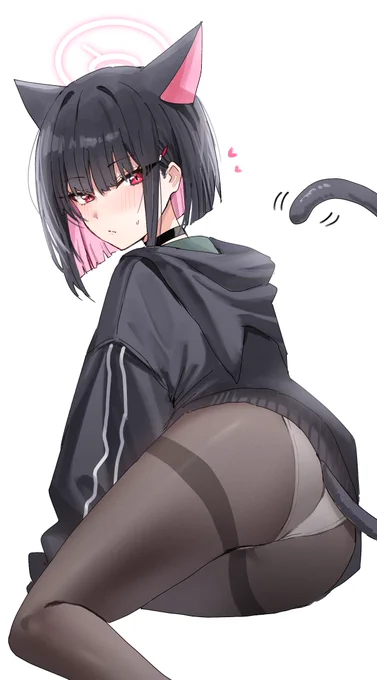 カズサ猫…