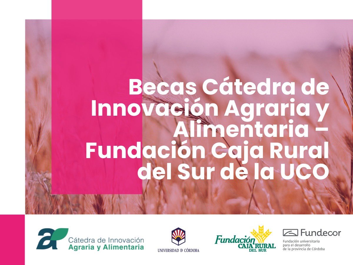 Cátedra de Innovación Agraria y Alimentaria - UCO (@catedrainnoagro) on Twitter photo 🗣️Convocatoria de #Becas de la Cátedra de Innovación Agraria y Alimentaria – Fundación Caja Rural del Sur de la <a href="/univcordoba/">Universidad Córdoba</a> mtr.cool/jimzhrojbd 🗣️Convocatoria de #Becas de la Cátedra de Innovación Agraria y Alimentaria – Fundación Caja Rural del Sur de la <a href="/univcordoba/">Universidad Córdoba</a> mtr.cool/jimzhrojbd