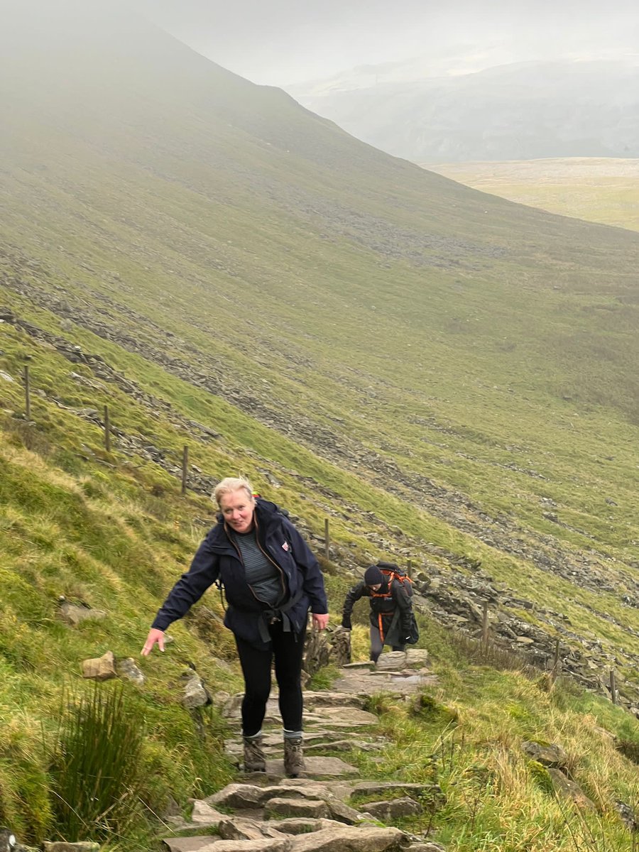 GLW Feeds Ltd tweet media