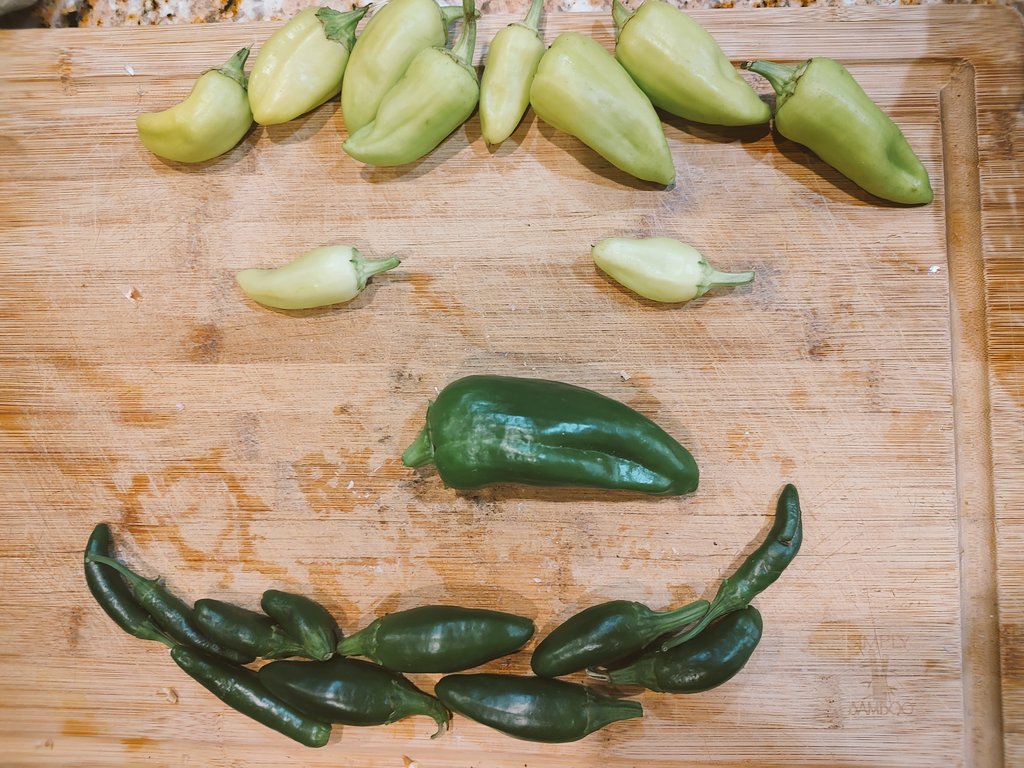 Controltowerst1's tweet photo. #gooodmorning 

#pepper to make you smile

I did some #pickleing and #fermenting
This week. 

#diy #homestead #sauerkraut #texas #GardenersWorld https://t.co/FbWB53QrSG