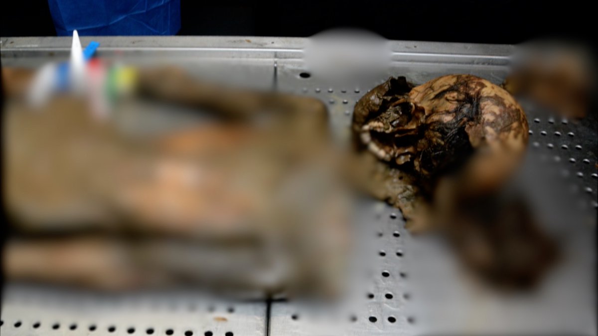 HananyaNaftali's tweet image. ⚠️ EXTREMELY GRAPHIC WARNING ⚠️

This is a 10-year-old Jewish girl murdered by Hamas terrorists.

Tell me more about "Hamas not targeting civilians". 
The whole world must put an end to Hamas - for the sake of humanity, for the sake of this girl. 

Source:  National Center of…