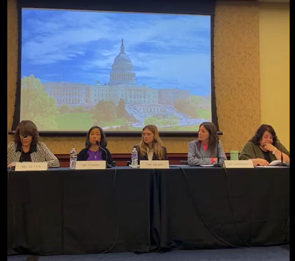 @4ImmSurvivors was honored to host a congressional briefing yesterday on the #WISEAct. Thank you to @RepJayapal who has championed this important bill for #ImmigrantSurvivors! And thank you to our partners @ndvh, @ncadv, @endsxlviolence, @PIFCoalition, @BatteredWomenJP, @nnedv