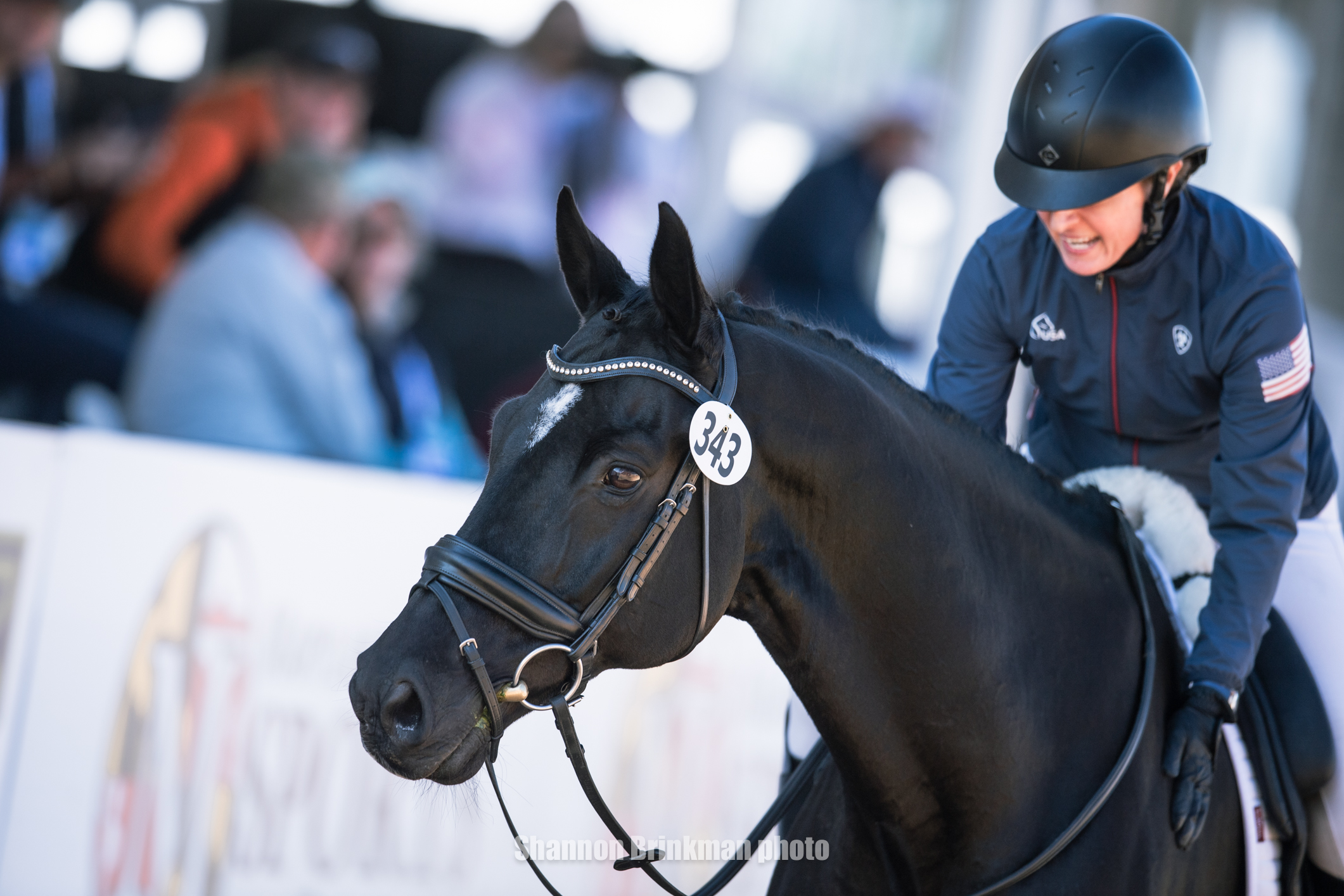 Mars Riders Piggy March & Brookfield Cavalier Cruise Lead The CCI5* At