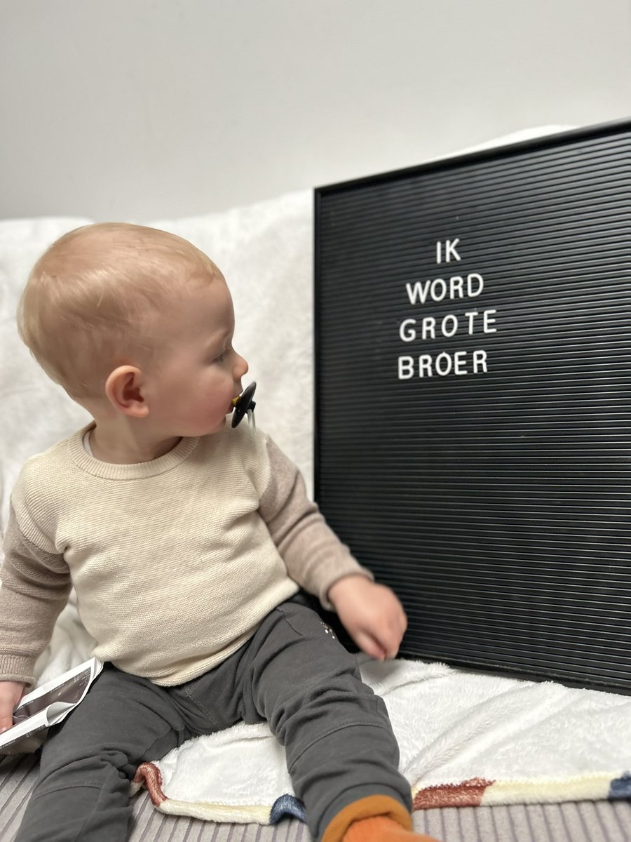 bangaloress's tweet photo. This little guy, is going to be a big brother in May ❤️ https://t.co/0svU1z3qlM