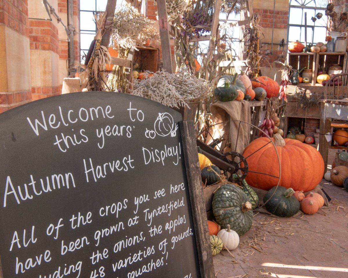 Tyntesfield tweet media