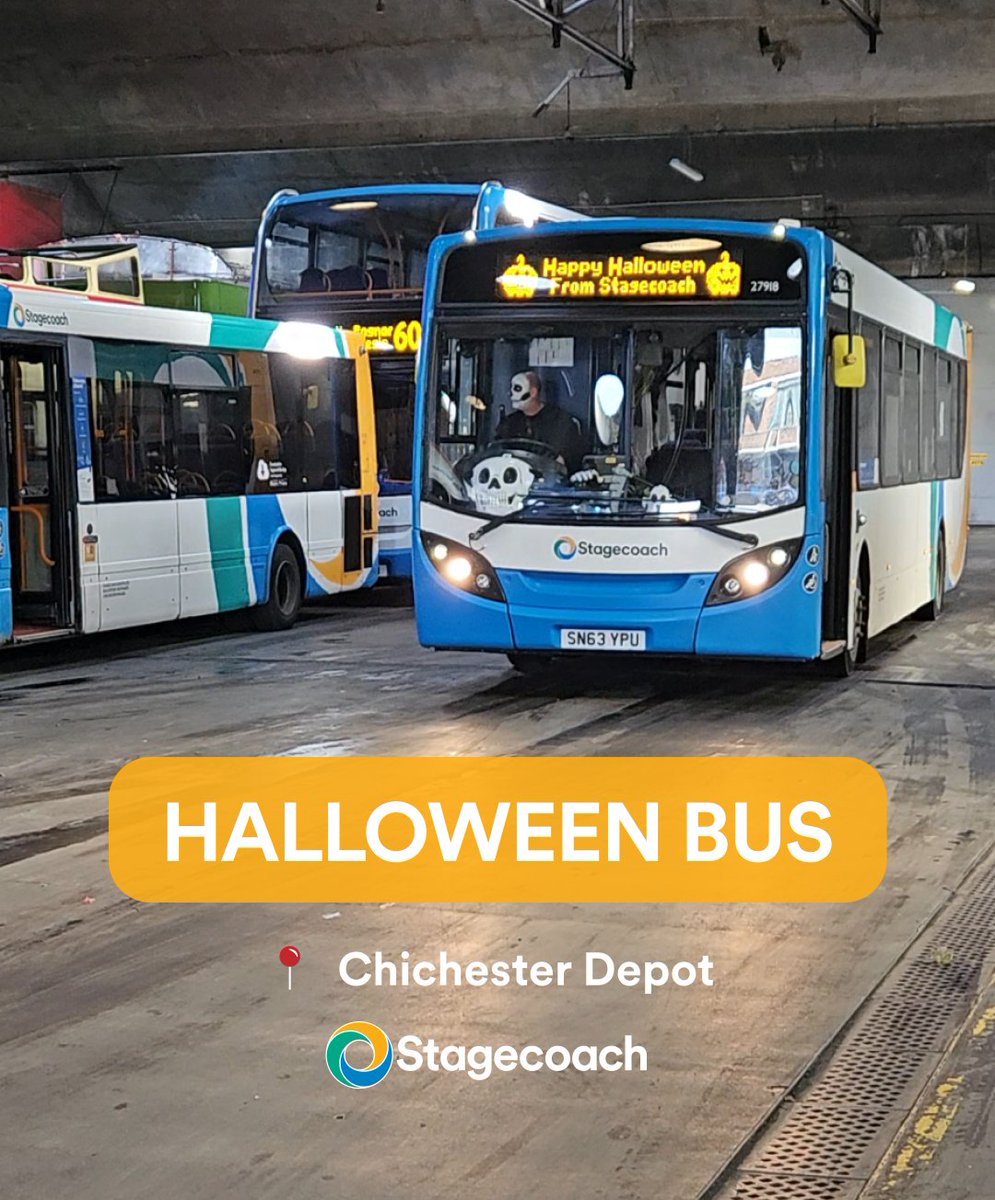 StagecoachSouth's tweet photo. We're fundraising for local charities with decorated Halloween buses at our #Basingstoke ,#Chichester , & #Portsmouth depots! Click below to view the video we created on Instagram, and for info on our photo competition.
https://t.co/6JZLrjb4v2
#Halloween #Bus #HalloweenBus https://t.co/FOl0gkuQgx