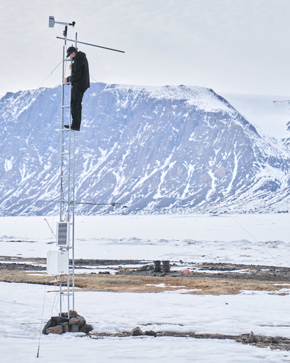 NOTES FROM THE NORTH
-
Greg Henry, a tundra ecologist, has dedicated his life to researching the effects of climate change in Arctic ecosystems for 44 years. after almost 10 cumulative years of research, he’s retired.

DISCOVER: nrsprjcts.com/nts-frm-nrth  #norseprojects