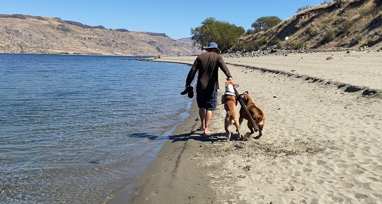 Strollin' on the beach with his best buds. 🐶🏖️