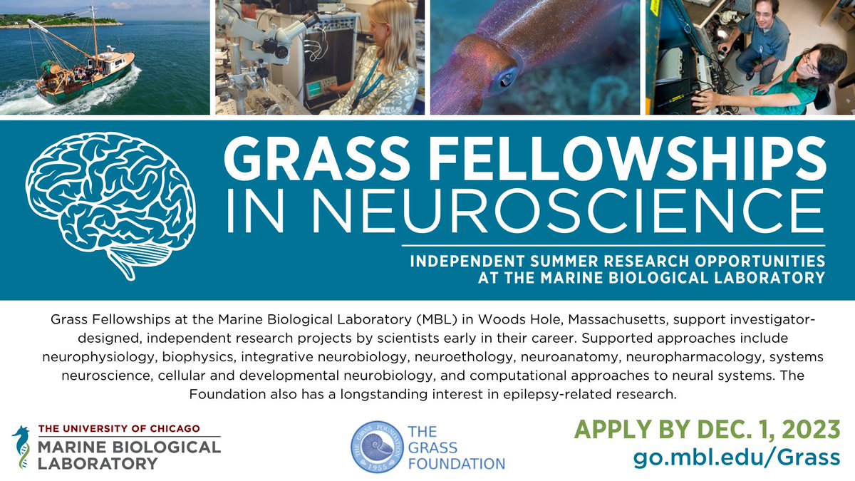 Grass Fellowships at the MBL support investigator-designed, independent research projects by early-career scientists. Summer 2024 applications due December 1. 
go.mbl.edu/Grass