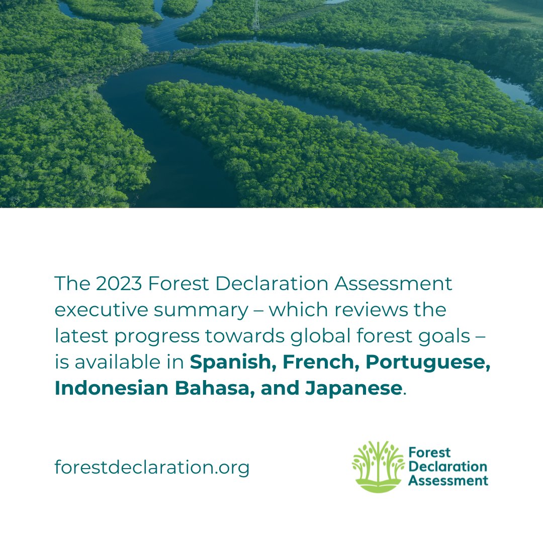 2023 Forest Declaration Assessment: Off track and falling behind - Forest Declaration