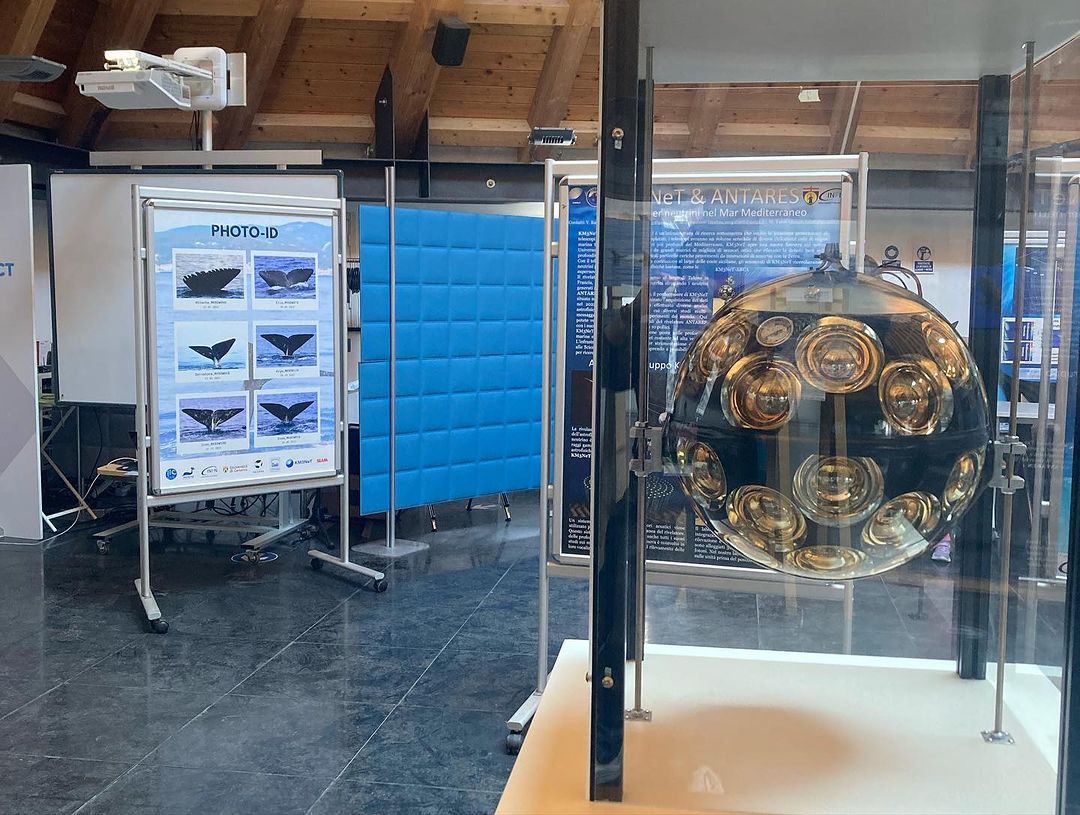 CLICproject's tweet image. Nel laboratorio del @festivalscienza di CLIC dovrete risolvere il mistero di un tesoro nascosto negli abissi  marini. Partecipate anche voi a questa emozionante caccia al ladro!
Ancora qualche posto prenotabile sul sito del #festivaldellascienza
festivalscienza.it/programma-2023…