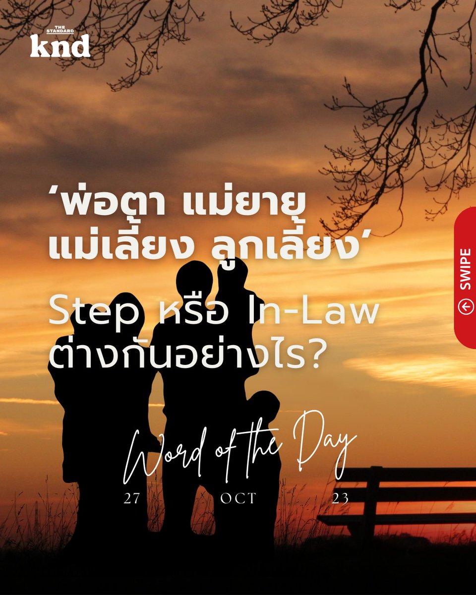 THE STANDARD knd tweet media