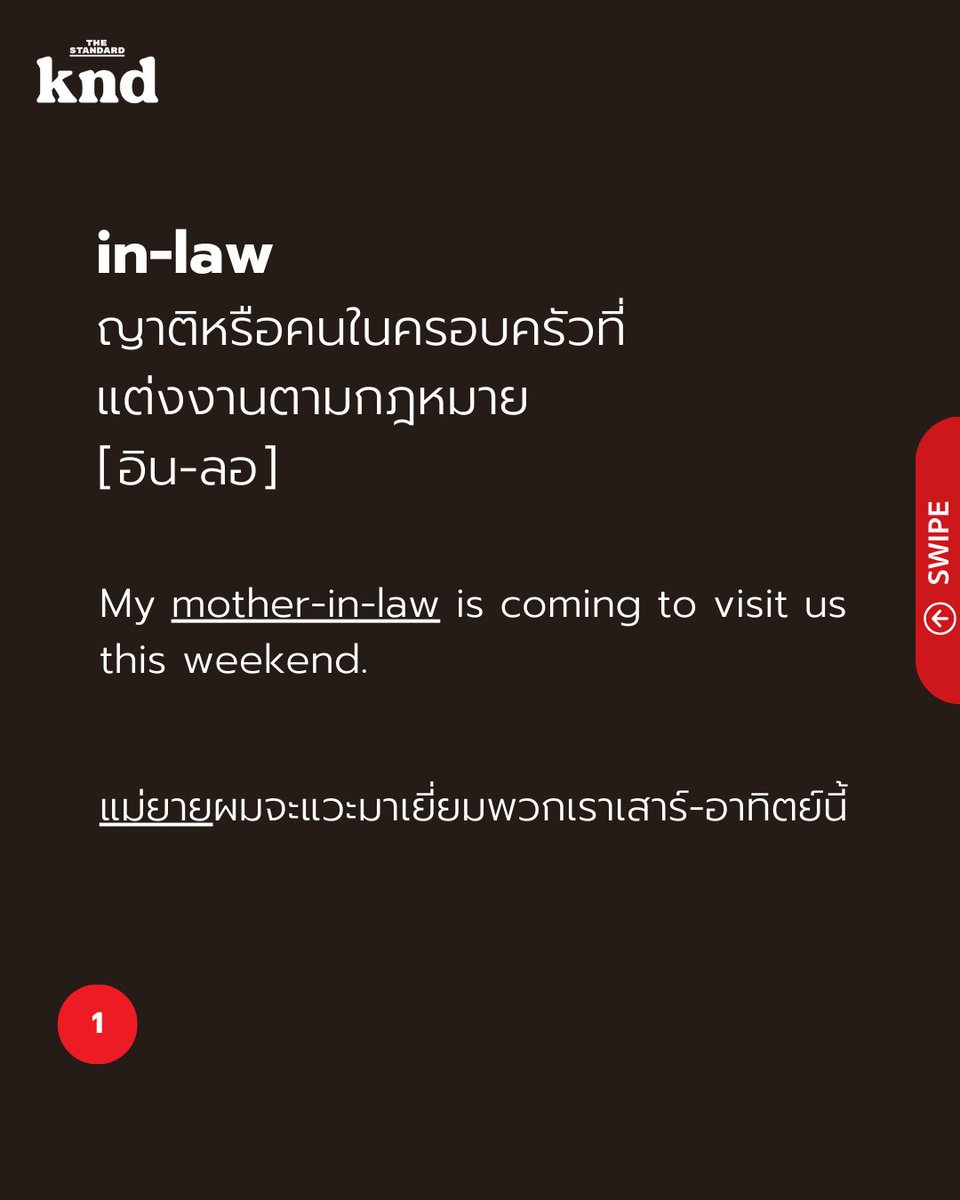 THE STANDARD knd tweet media