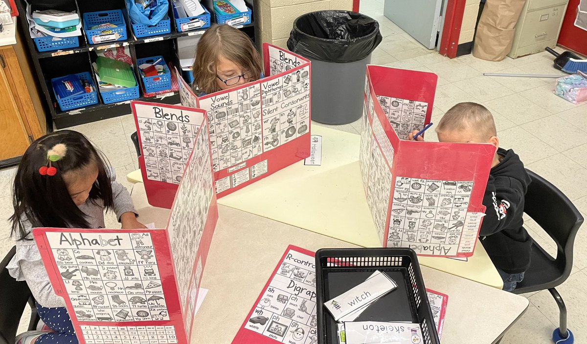 allison McGrath tweet media