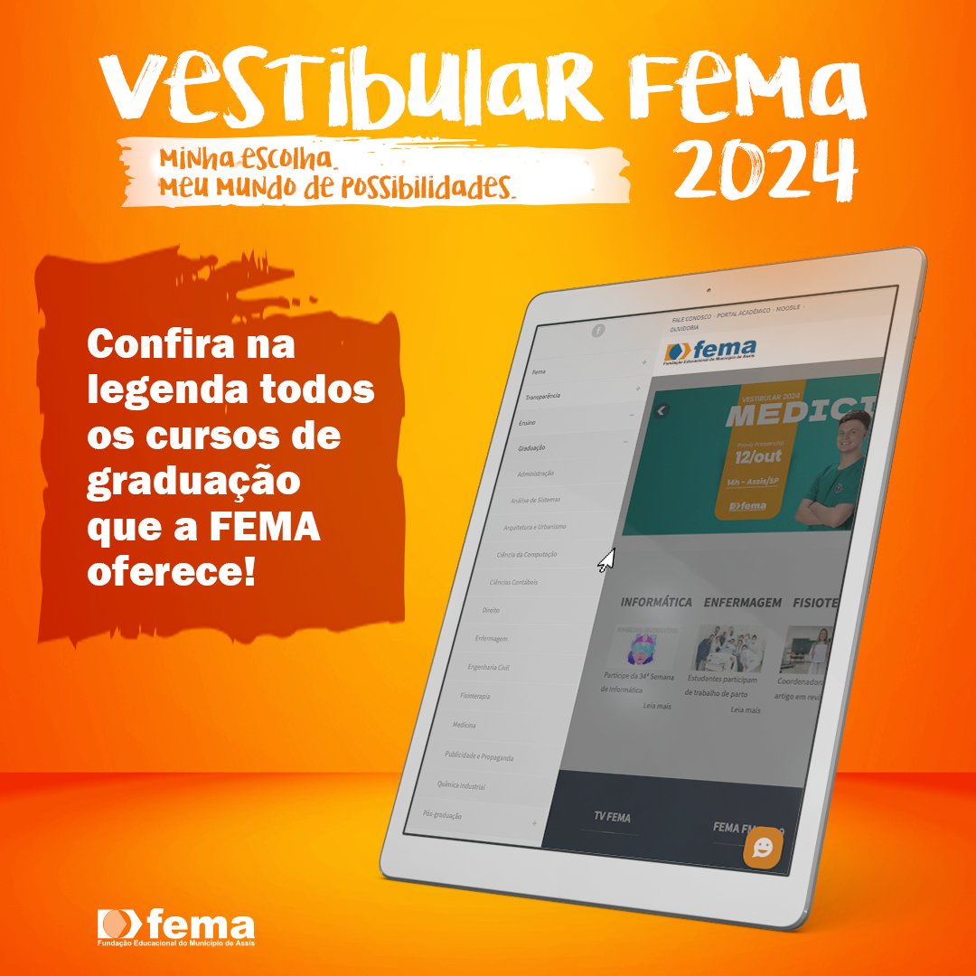 Graduação - FEMA