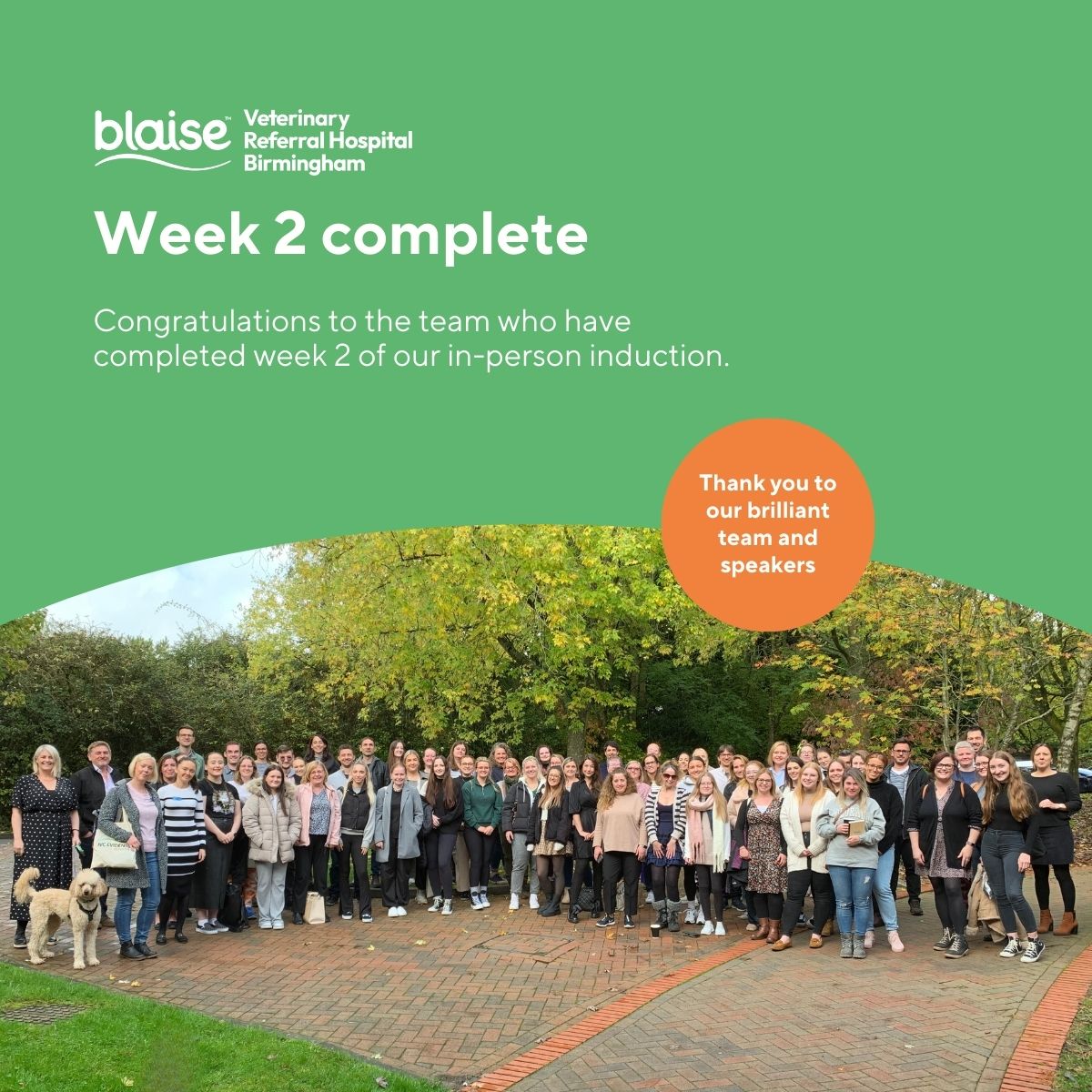 Blaise Veterinary Referral Hospital Birmingham tweet media