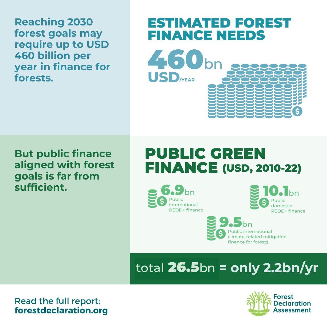 2023 Forest Declaration Assessment: Off track and falling behind - Forest  Declaration