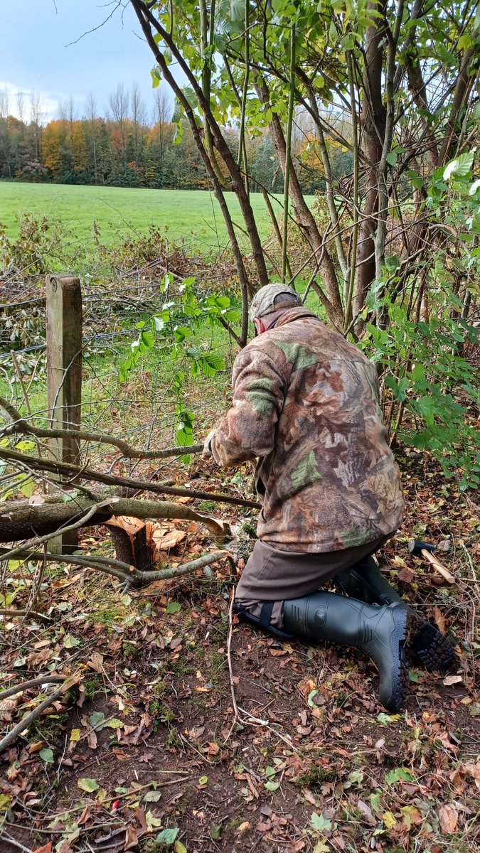 More hedge laying and willow harvesting for our Friday Conservation Volunteers. Get in contact if you're interested in learning new skills, meeting great people and getting outside. #Volunteer #hedgelaying #willow #traditionalconservationmethods #getoutside