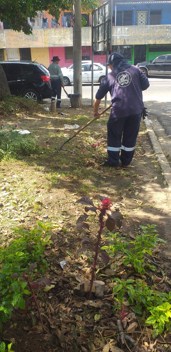docserrano_'s tweet photo. Compañeros de la Unidad de Parques, chapoda mecanizada 
#ssbello https://t.co/x4xJXI817K