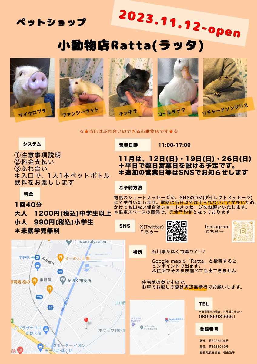 2023.11.12〜触れ合いのできるお店として営業いたします。日々試行錯誤で、あたふたしているかもしれませんが😅お気軽にお問合せください♪
#ファンシーラット #マイクロブタ #リチャードソンジリス #チンチラ #コールダック #アニマルカフェ #小動物カフェ #石川県動物カフェ