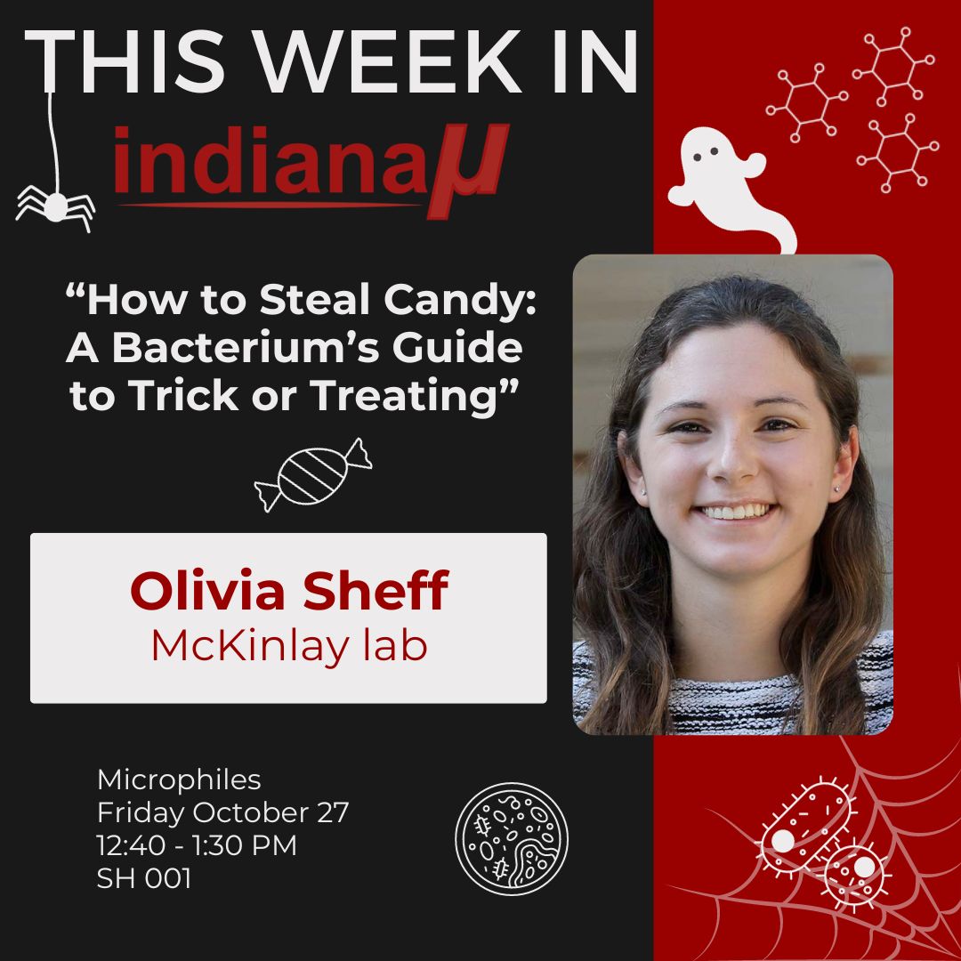 MGSA_IU's tweet photo. Join us this afternoon for a spooky fun Microphiles with Olivia Sheff from the McKinlay lab! https://t.co/RAfh16MHtc