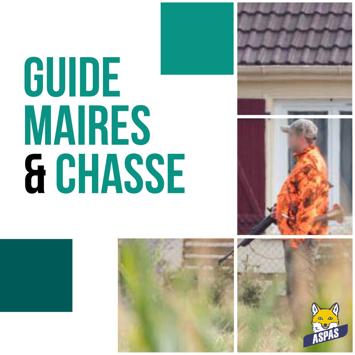ASPASnature's tweet photo. Œuvrer pour la protection de la nature au niveau des communes, c’est possible ! Interpellez vos élus locaux en leur envoyant notre Guide Maires &amp; Chasse ! Retrouvez l’intégralité de notre guide consultable gratuitement sur https://t.co/VSfVtaKBp6 https://t.co/YvUF5mOXbW