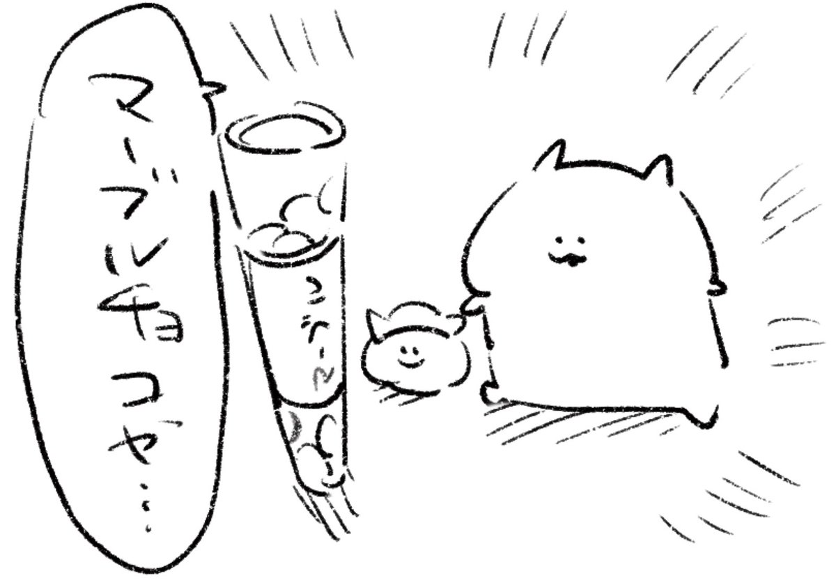 ロケンロー(おやすみ)🍫 