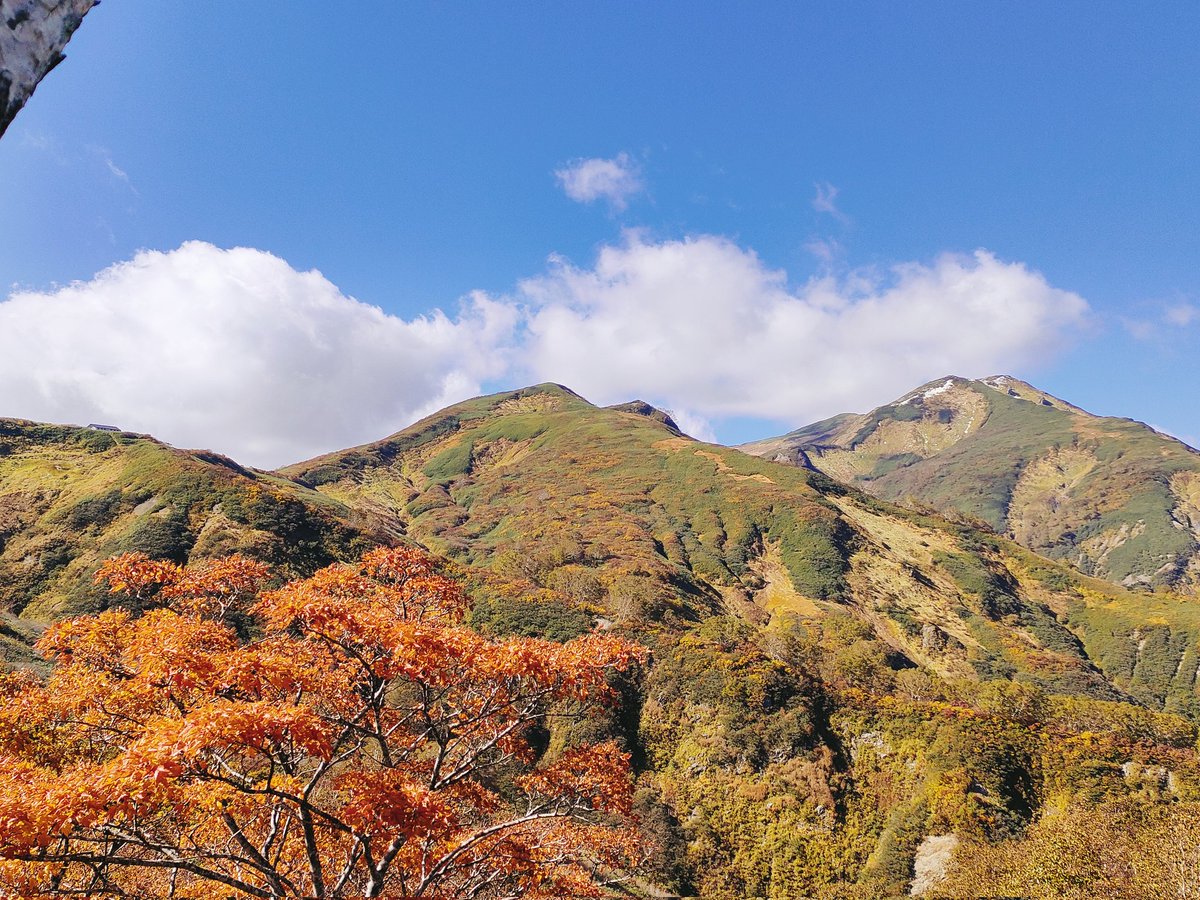 star_1420's tweet photo. 10月中旬
念願の飯豊山へ！

険しい山だけれど、どうしても初めては一人で行きたくて
体力経験、季節天候を考え続けて
今だ！と飛び込んできました🍁

修験の道、大日杉ルートを行くと
最初に現れる垂直の岩場「ザンゲ坂」
進む覚悟を問われているようだな

よじ登った先には紅葉の森！ https://t.co/dS10BdPwip