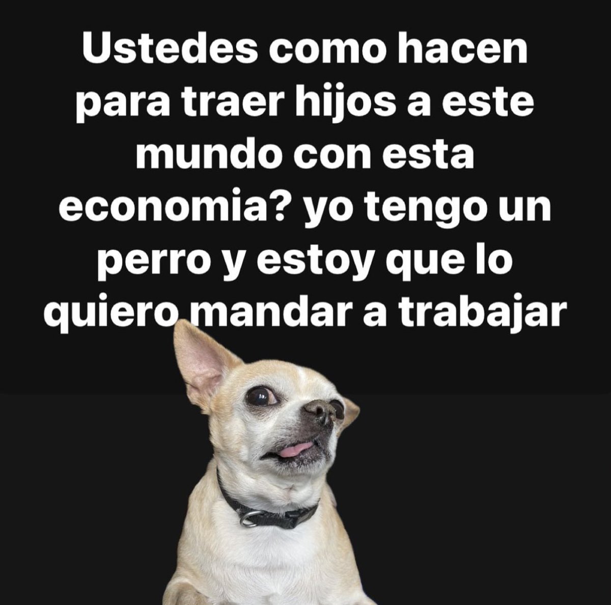 edgarmorales63's tweet photo. 😂😂😂 https://t.co/CCFdVjADdE