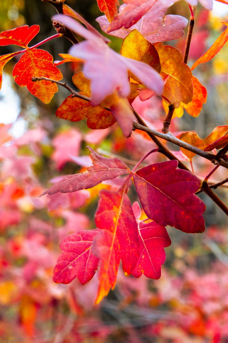 JR Goodwin tweet media