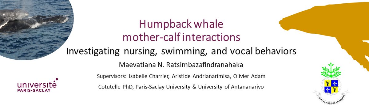 Cétamada tweet media