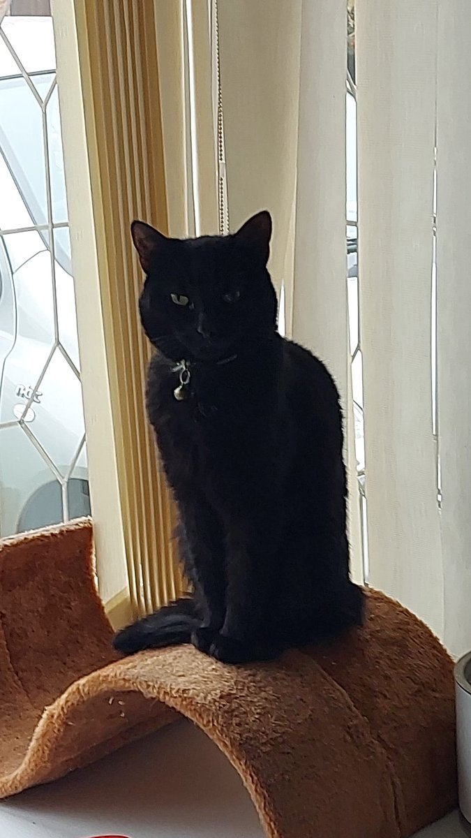 Dr Nicky Morgan tweet media